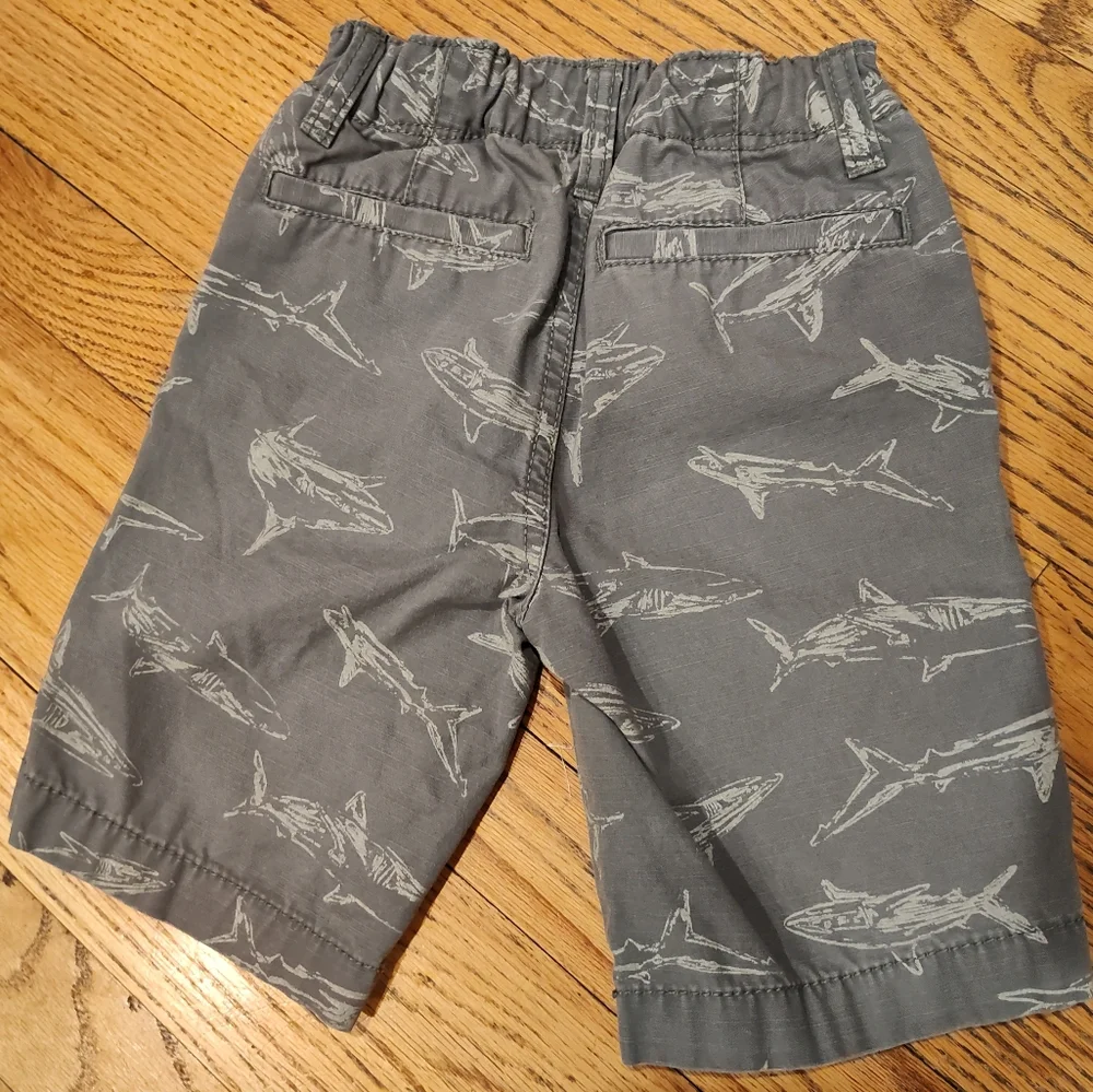 Gray Shark Print Shorts